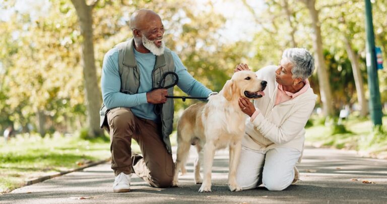 senior couple enjoying a walk with their dog